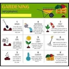 Aero Seeds 150g 15 Varieties Flower Seeds, Aero-Flo-15 - Image 2