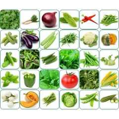 Aero Seeds 150g 30 Varieties 1860 Vegetable Seeds, Aero-Veg-30