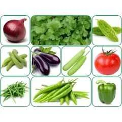 Aero Seeds 150g 10 Varieties Vegetable Seeds, Aero-Veg-10