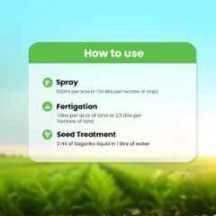Iffco 1 Litre Seaweed Based Bio-Stimulant Sagarika Liquid for Organic Farming - Image 2